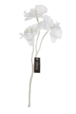 Roślina szt. - gałązka białej orchidei_Aluro