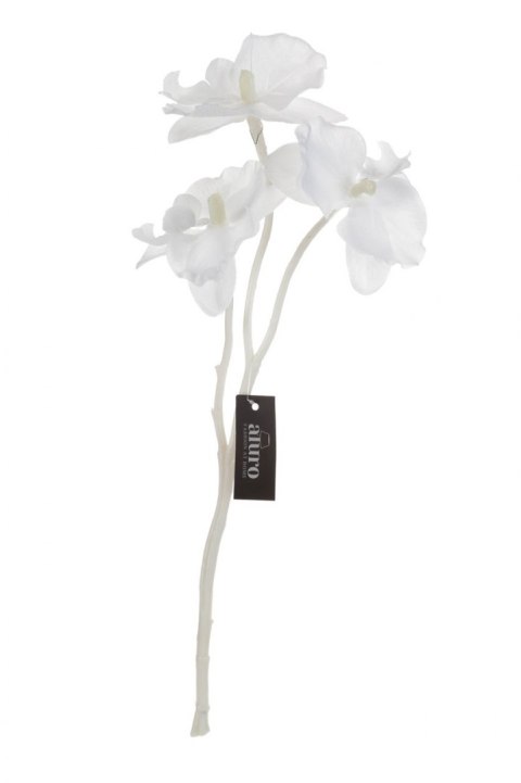 Roślina szt. - gałązka białej orchidei_Aluro