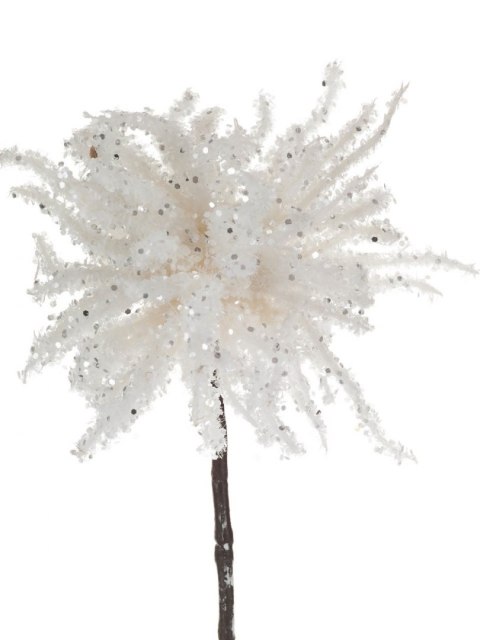 Roślina szt.- kwiat zimowy_Aluro