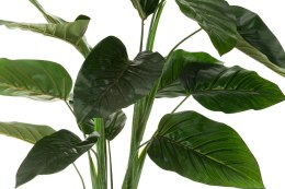 Roślina sztuczna - liście strelicji_Aluro