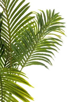 Roślina sztuczna - palma w doniczce_Aluro