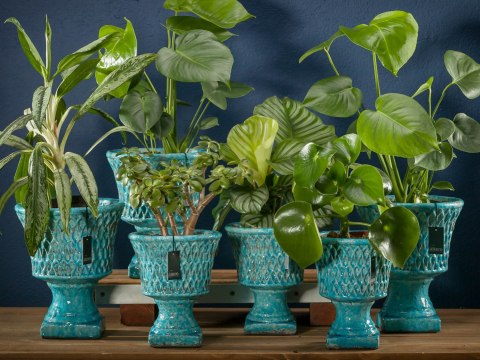 Wazon, doniczka LAZURITE ocean blue_Aluro L