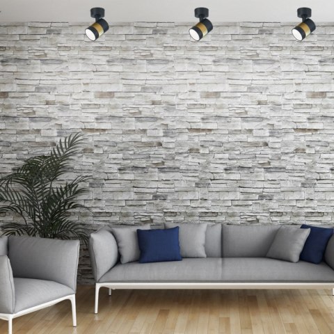 Anillo 1 spot czarny