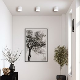 Kendal oprawa natynkowa 1 x GX53 biała LP-6331/1SM IP65 WH