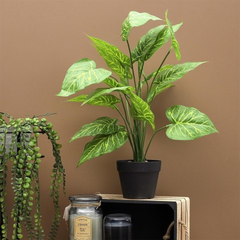 Sztuczna roślina Alocasia 55cm
