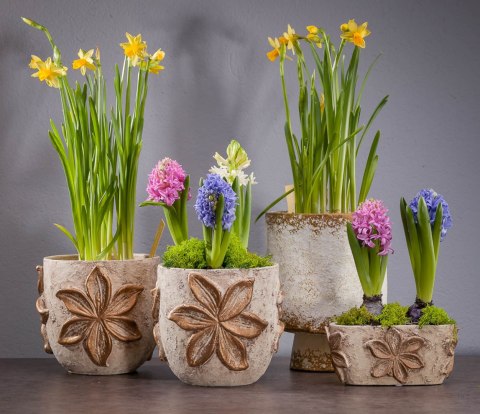 Doniczka, osłonka dekoracyjna NIXXO