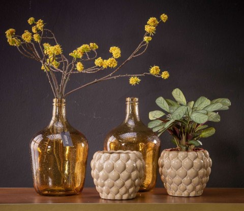 ALURO_Roślina szt.-Callicarpa żółta