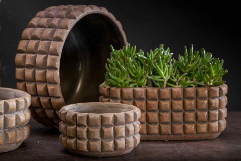 Misa do kompozycji kwiatowych, kaktusów, sukulentów WILIAM-misa