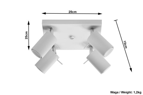 Plafon RING 4 Biały