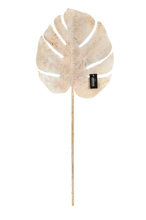 ALURO_Roślina szt.-Monstera