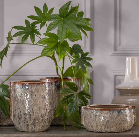 PTMD_osłona-misa LOIKY