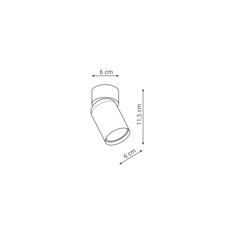 Pointa 1 spot biały 1xGU10