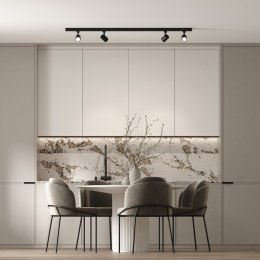 Zestaw oświetlenia szynowego Snow SET 1F czarny 4xGU10