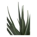 Sztuczna roślina Aloes 51cm