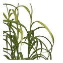 Sztuczna roślina trawa cyprysowa 60cm