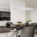 Lampa wisząca Ibros średnia 18W CCT IP20 1xLED biała LP-7001/1P 20 WH-63 18 CCT