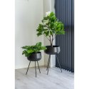 Sztuczna roślina Monstera 45cm ( Rozmiar: uniwersalny )