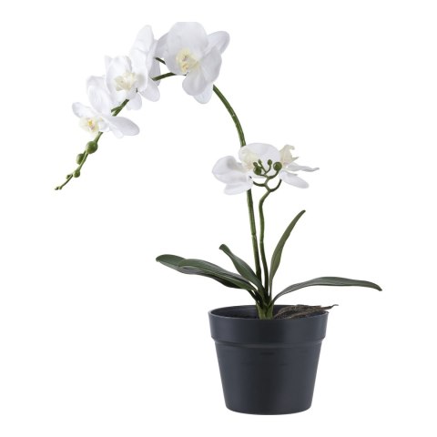 Sztuczna roślina Orchidea biała 49cm ( Rozmiar: uniwersalny )