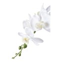 Sztuczna roślina Orchidea biała 49cm ( Rozmiar: uniwersalny )