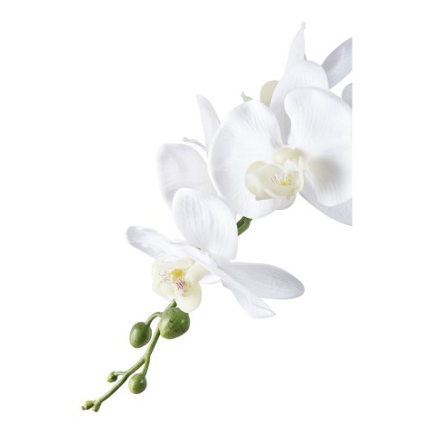 Sztuczna roślina Orchidea biała 49cm ( Rozmiar: uniwersalny )
