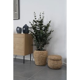 Sztuczne drzewko Eukaliptus 120cm ( Rozmiar: uniwersalny )