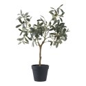 Sztuczne drzewko oliwne 61cm ( Rozmiar: uniwersalny )