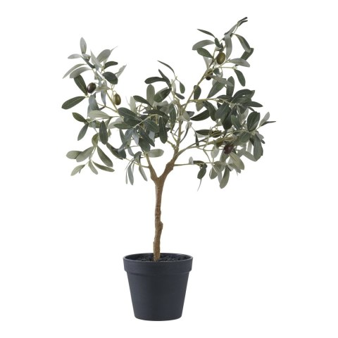 Sztuczne drzewko oliwne 61cm ( Rozmiar: uniwersalny )