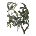 Sztuczne drzewko oliwne 61cm ( Rozmiar: uniwersalny )