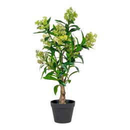 Sztuczne drzewo Skimmia 75cm ( Rozmiar: uniwersalny )
