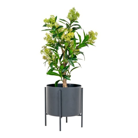 Sztuczne drzewo Skimmia 75cm ( Rozmiar: uniwersalny )