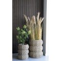 Sztuczne drzewo Skimmia 75cm ( Rozmiar: uniwersalny )