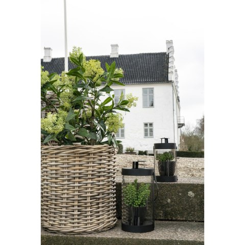 Sztuczne drzewo Skimmia 75cm ( Rozmiar: uniwersalny )