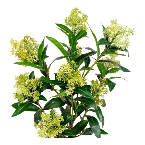 Sztuczne drzewo Skimmia 75cm ( Rozmiar: uniwersalny )