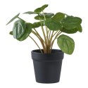 Sztuczny kwiat Pelia 28cm ( Rozmiar: uniwersalny )