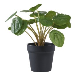 Sztuczny kwiat Pelia 28cm ( Rozmiar: uniwersalny )