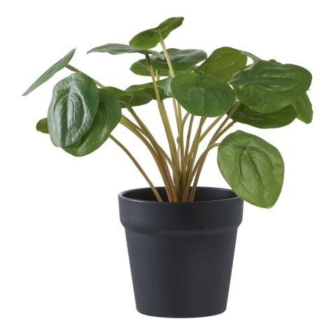Sztuczny kwiat Pelia 28cm ( Rozmiar: uniwersalny )
