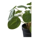 Sztuczny kwiat Pelia 28cm ( Rozmiar: uniwersalny )