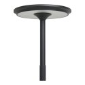 Lampka LED Lyneham czarna ( Rozmiar: uniwersalny )