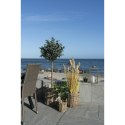 ( Rozmiar: uniwersalny )