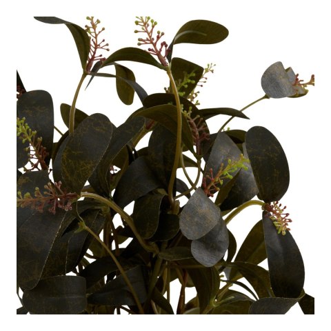 Roślina sztuczna Peperomia 35 cm ( Rozmiar: uniwersalny )