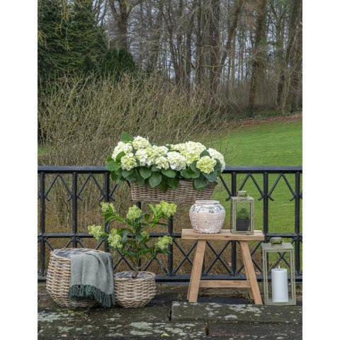 Zestaw 2 koszy Pulo rattan ( Rozmiar: uniwersalny )
