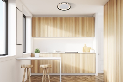Plafon Artizo PLF-02326-M-BK