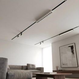 Reflektor Magnetic Slim Zing 12W LED CCT biały