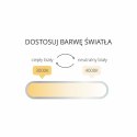 Reflektor Magnetic Slim Zing 12W LED CCT czarny