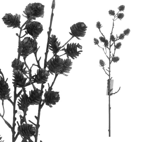 ALURO_Roślina szt.- Chmiel