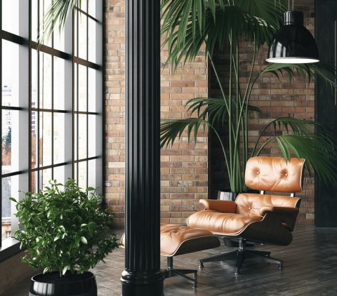 Fotel Vip biały/walnut/srebrna baza TP