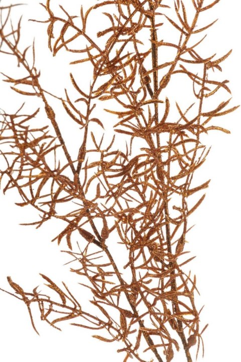 Roślina sztuczna - asparagus copper_Aluro
