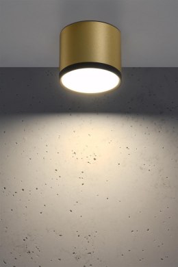 Lampa sufitowa złoto czarna 8,8x7,5cm Tuba Candellux 2275956