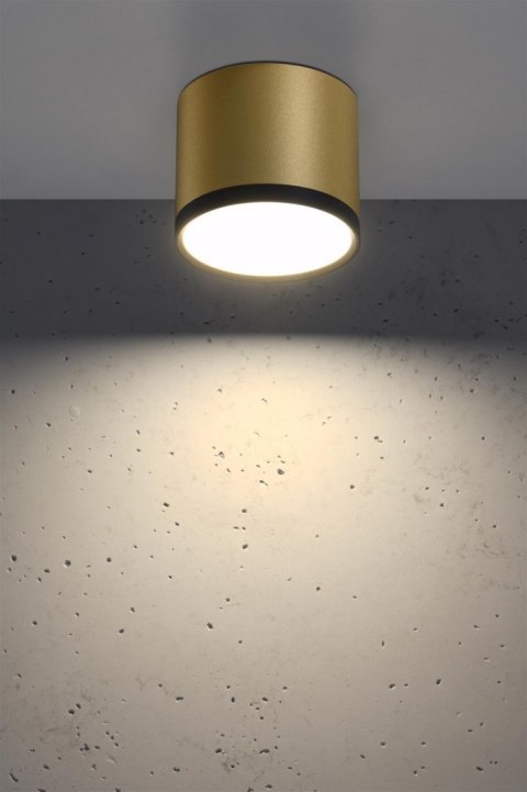 Lampa sufitowa złoto czarna 8,8x7,5cm Tuba Candellux 2275956