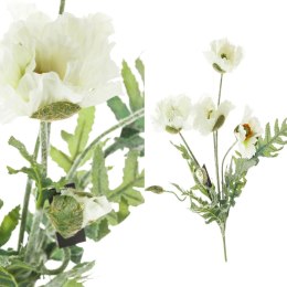 Roślina szt.- białe maki bukiet 5 kwiatów_Aluro